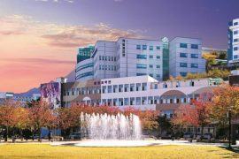 DU HỌC NGÀNH “DƯỢC MỸ PHẨM” TẠI NGÔI TRƯỜNG ĐÔNG Y CỔ TRUYỀN BẬC NHẤT HÀN QUỐC