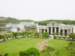 Trường Đại học Shin Ansan: Thông tin tuyển sinh, đào tạo và học phí