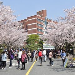 Du học chuyên ngành